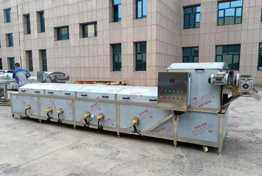 Tomato Paste Production Line 4 Tomato blanching line