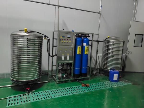 500 kg/h Mango Juice Production Line in Uganda 2 RO water treatment system for mango juice production